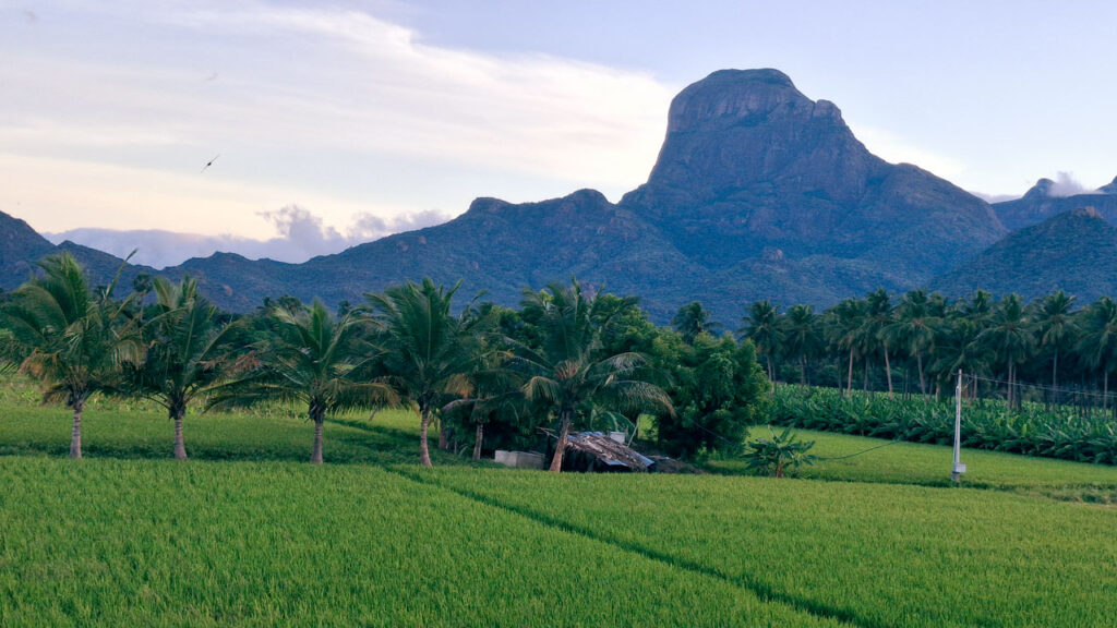 Mahendragiri hills, Western Ghats, Thirukkurungudi