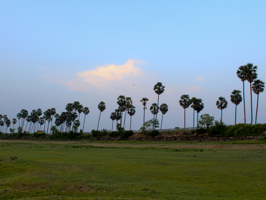 enroute-to-malai-nambi-temple